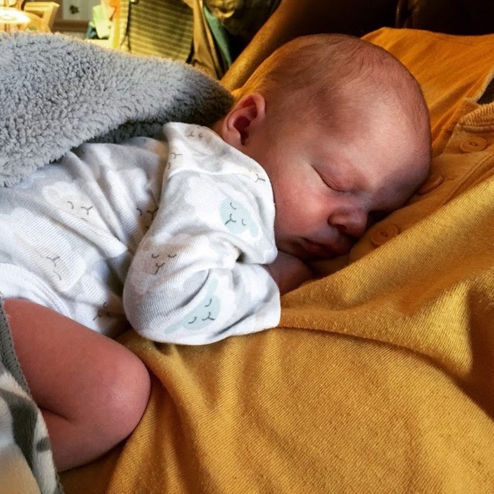 Meet your Posher, Abigail